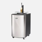 sed quia consequuntur mag zacob